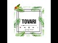 TOVARI Official Audio