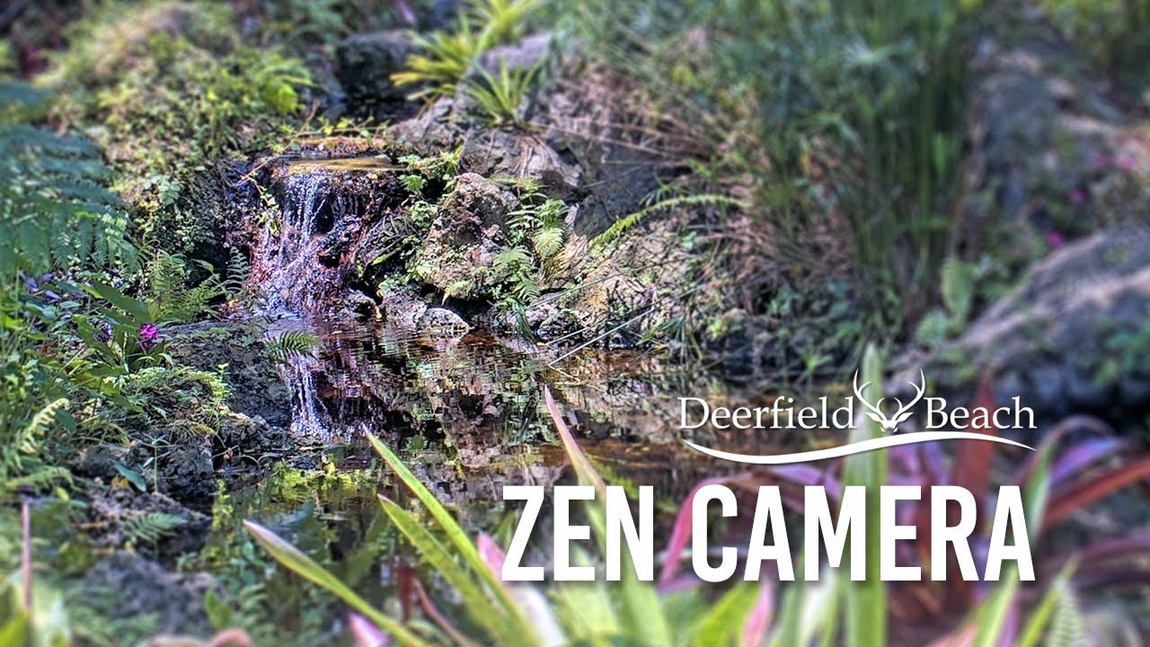 Live webcam view of Deerfield Beach Arboretum Zen Garden