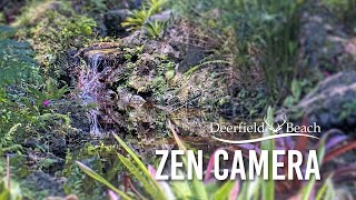 Zen Camera - Deerfield Beach Arboretum at Constitution Park