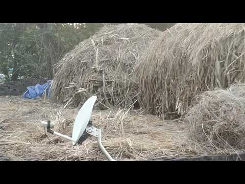 Cute cat fight 😍😍