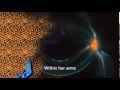 My Dying Bride - To Remain Tombless (With Lyrics)