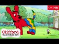 Be Truthful And Honest Full Episodes Clifford The Big Red Dog Scholastic Classic