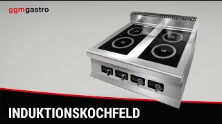 Fourneau à induction - 12kW - 4 foyers