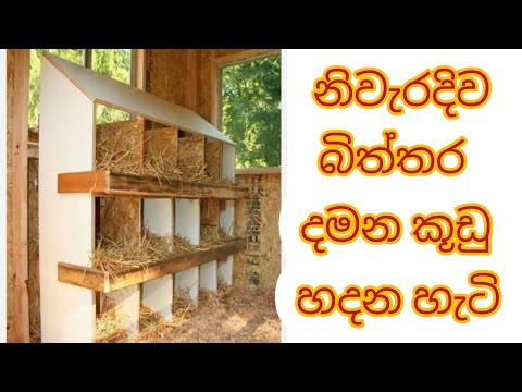 බිත්තර පෙට්ටි නිවැරදිව හදන හැටි. How to make egg nests correctly. #egg nest #nest #layer #chicken