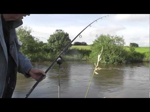 Barbel Fishing on the River Swale 97.
