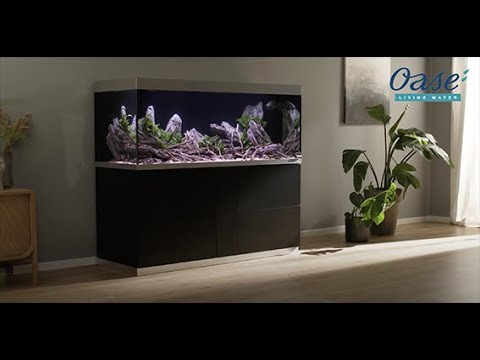 Watch Video on YouTube