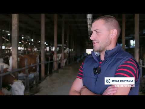 Složno, uspešno! ep. 244 19.11.2024. Farma muznih krava „Lazar“ iz mesta Donja Draguša kod Blaca
