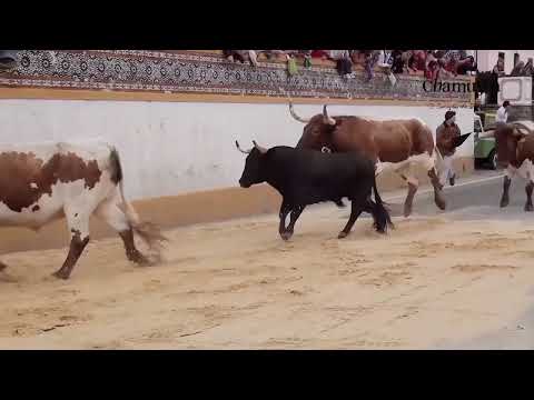 ASCENSÃO 2020 - 21 de maio - 5ª feira de Ascensão