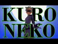 SHOW VS TELL A Miraculous Kuro Neko Rant