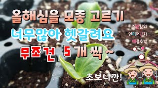 올해 농장에 심을 모종 고르기..5개씩만~