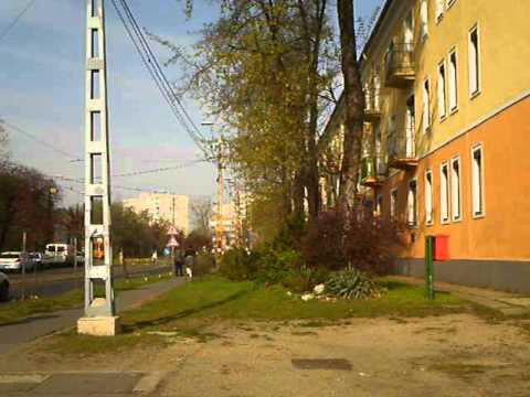 231-es busz Őrjárat utcánál kerül