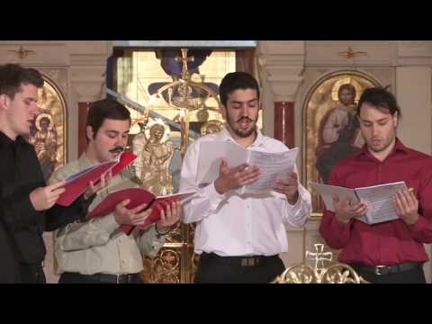 Srpski Istočnik - Vidjehom svjet istinij