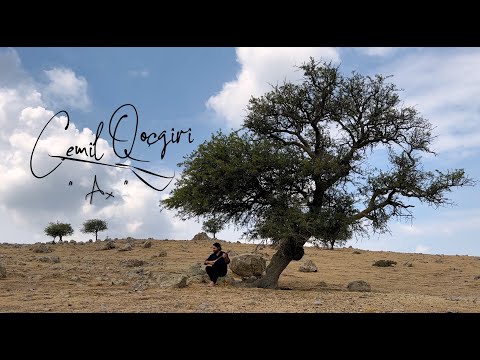 Cemîl Qoçgîrî - Ax (Tenbûr)
