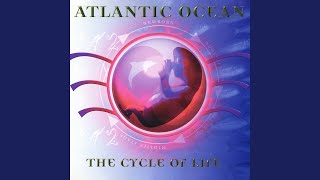 The Cycle Of Life (Station Edit)