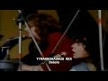 TYRANNOSAURUS REX " Debora " 