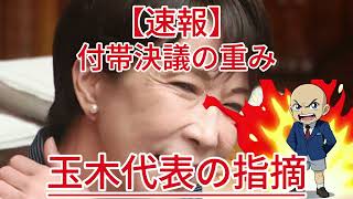 付帯決議の重み 玉木代表の指摘1