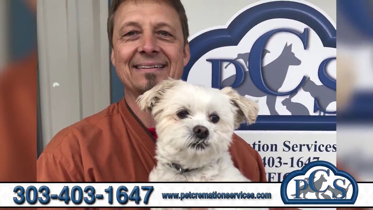 Pet Cremation Services