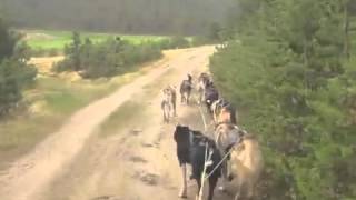 preview picture of video 'ATV trening av hundespann'