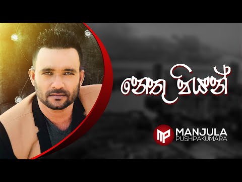 Nethu Piyan - Manjula Pushpakumara - Official Audio