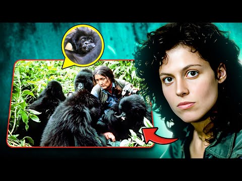 You Missed These 12 Crazy Secrets Behind Gorillas in The Mist!