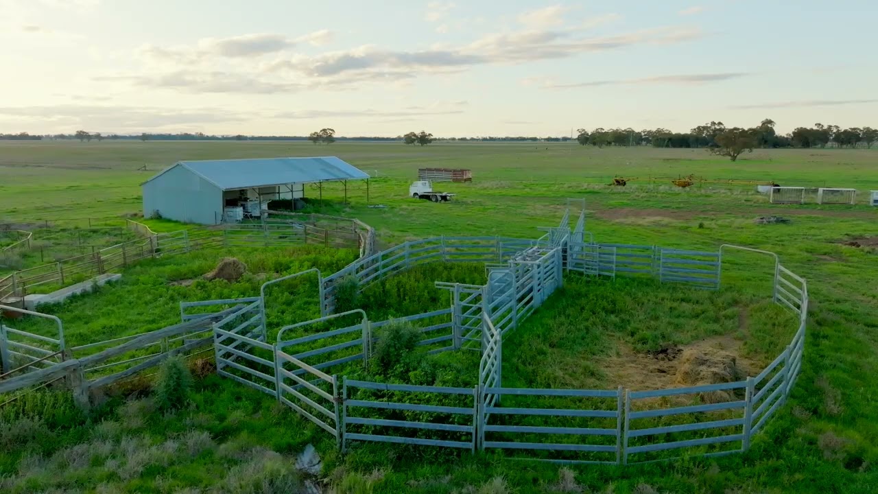 330 Hulmes Road, Leeton, NSW, 2705 For Sale Elders Real Estate