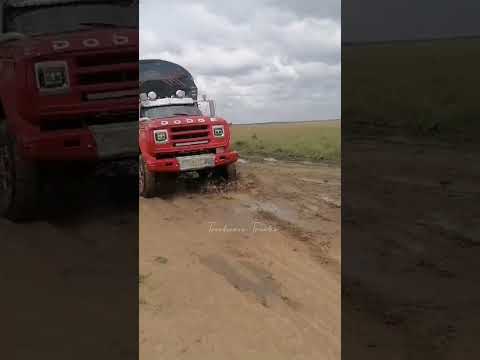 Dodge 600 por la vía a Primavera VICHADA #dodge #automobile #camiones #colombia #trucks #traileros
