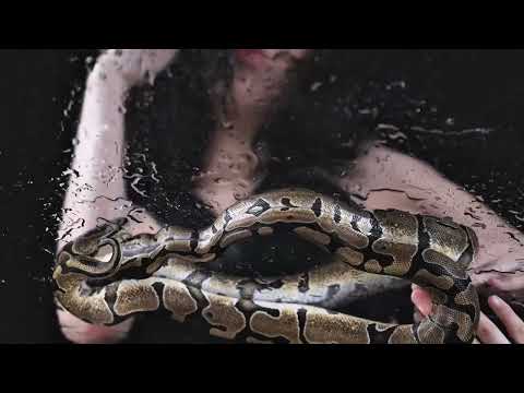 Play Video Youtube Video