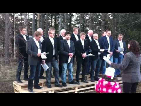 Uti vår hage - Levar manskör