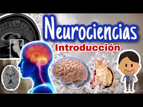 NEUROSCIENCES: Introduction to the Essentials 20 MINUTES