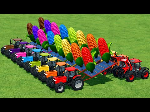 LOAD AND TRANSPORT GIANT CORN WITH CASE AND JCB TRACTORS - Farming Simulator 22