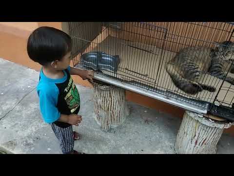 Adam Uwaisy and Cat at Clinic