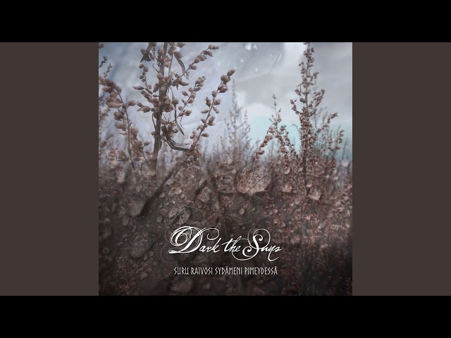 The Musical Journey of Dark the Suns: Unveiling one of the Best Kept Secrets in Metal Music