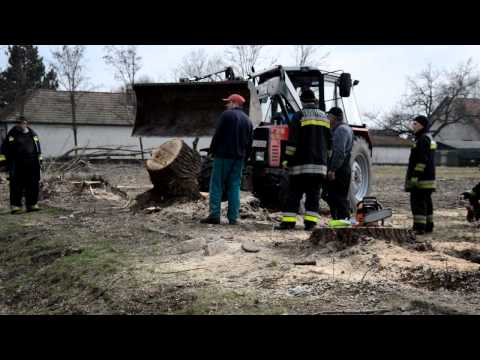 Híradó - Április - 2015