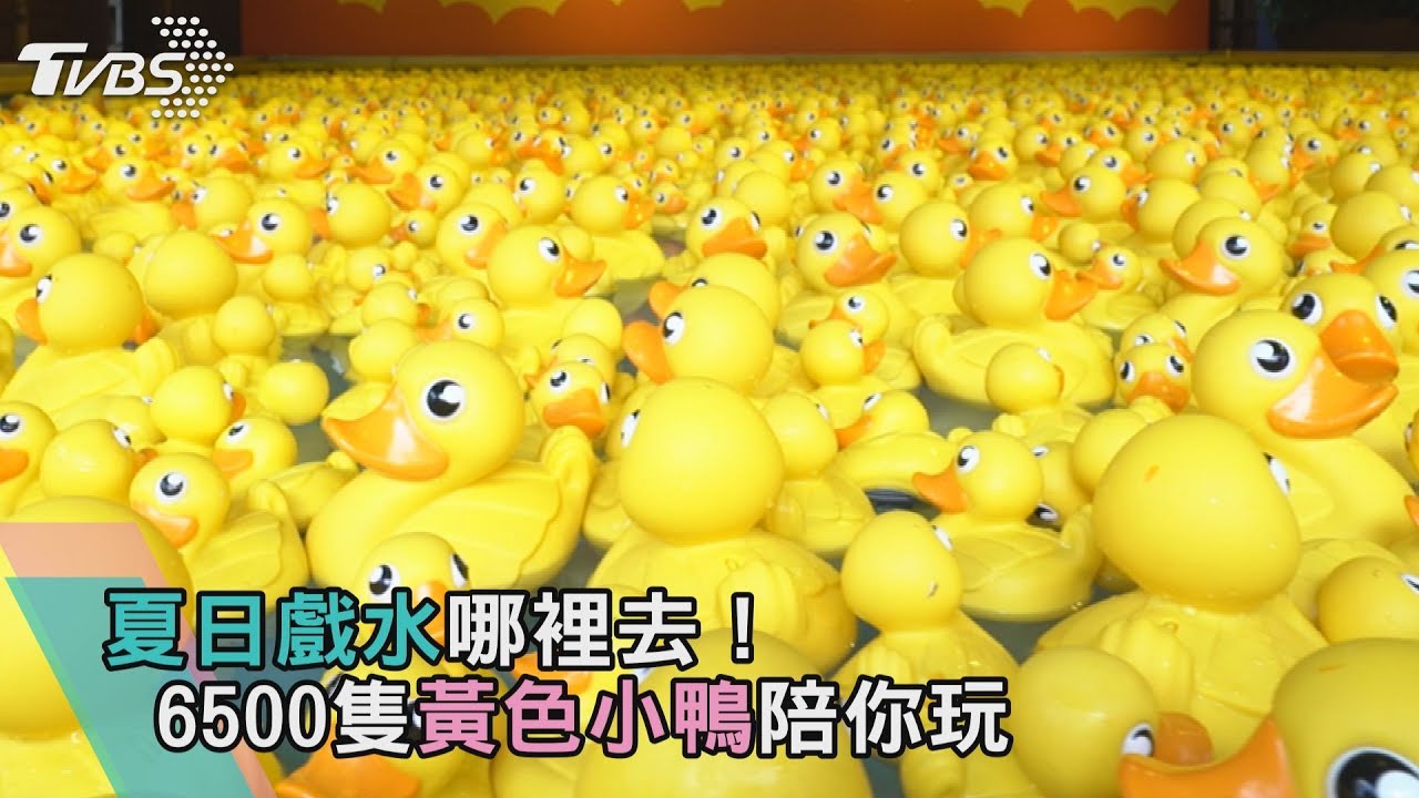 夏日戲水哪裡去!黃色小鴨、小小兵陪你玩