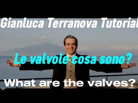 TUTORIAL 16 - Le Valvole - The Valves M3p Gianluca Terranova (en-sp)