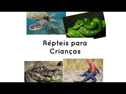 Répteis para crianças