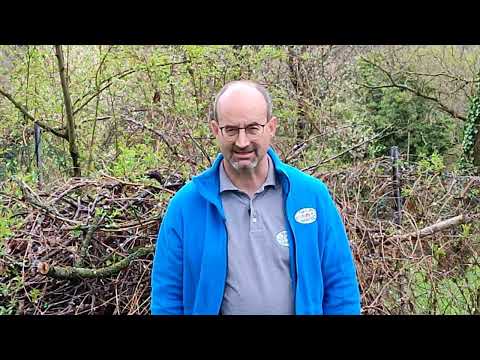 Tierischen Totengräber