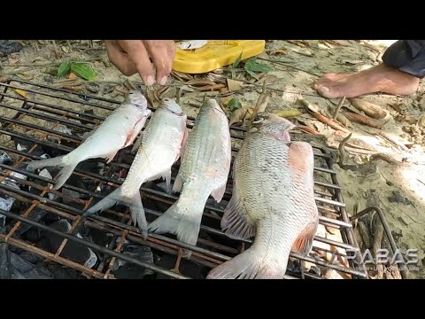 EP809-P2 - Panlalambat ng Isda sa Ilog | Occ. Mindoro