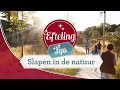 8 redenen om te overnachten in Vakantiepark Efteling Loonsche Land - Efteling Tips