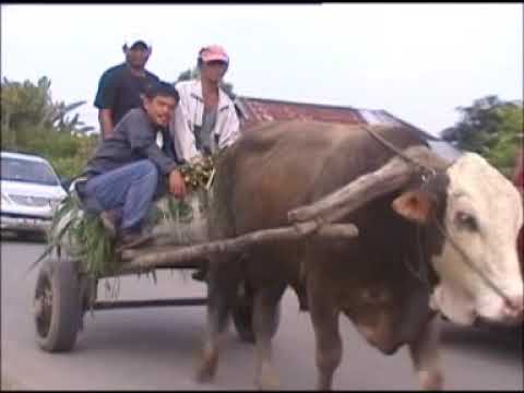 GENDANG MASU MASU MERGA SILIMA RAS BERU SILIMA | UNJUK BR GINTING