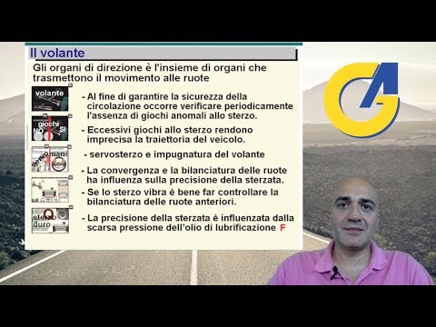 Organi dello Sterzo - Capitolo 25  (sintesi)