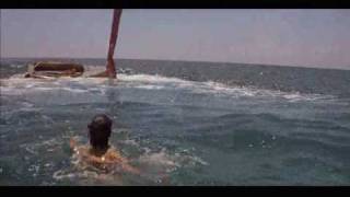 Jaws 2 - Brody and Eddie