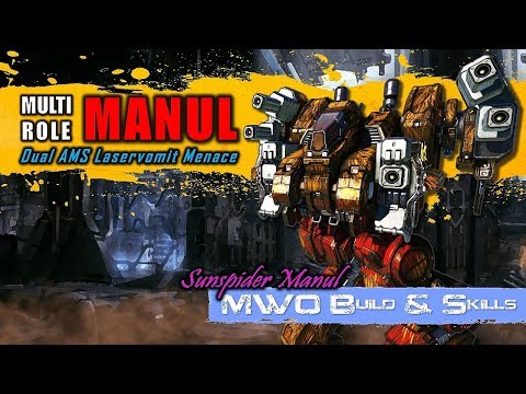 [BRxV] MWO Build & Skills : Multirole Dual AMS Manul