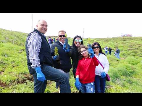 Weber Lebanon team plants 200 Cedrus Libani in Tannourine Reserve
