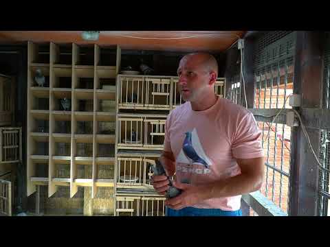 BUGAŁA PIOTR - CAŁY FILM - LEKTOR - HIT !