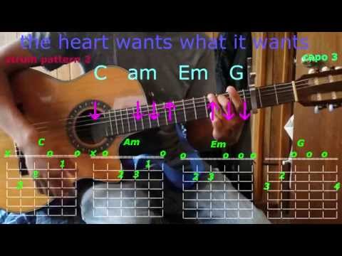 download lagu mp3 mp4 Selena Gomez Chords The Heart Wants What It Wants, download lagu Selena Gomez Chords The Heart Wants What It Wants gratis, unduh video klip Selena Gomez Chords The Heart Wants What It Wants