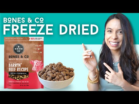 BEST Freeze-Dried Dog Food Tips!