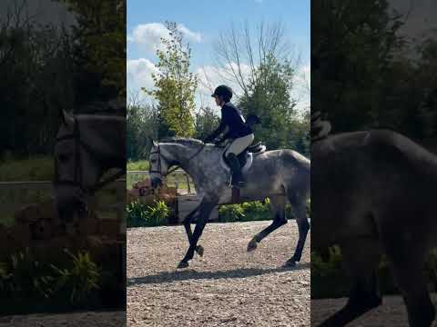 Ohio VDL video 4