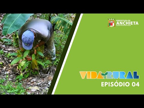 Desbravando o interior: 5 dicas para explorar a vida no campo!