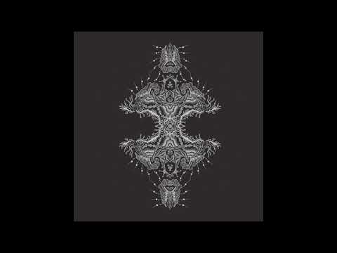 Pfirter - Habitable Zone [MT40]